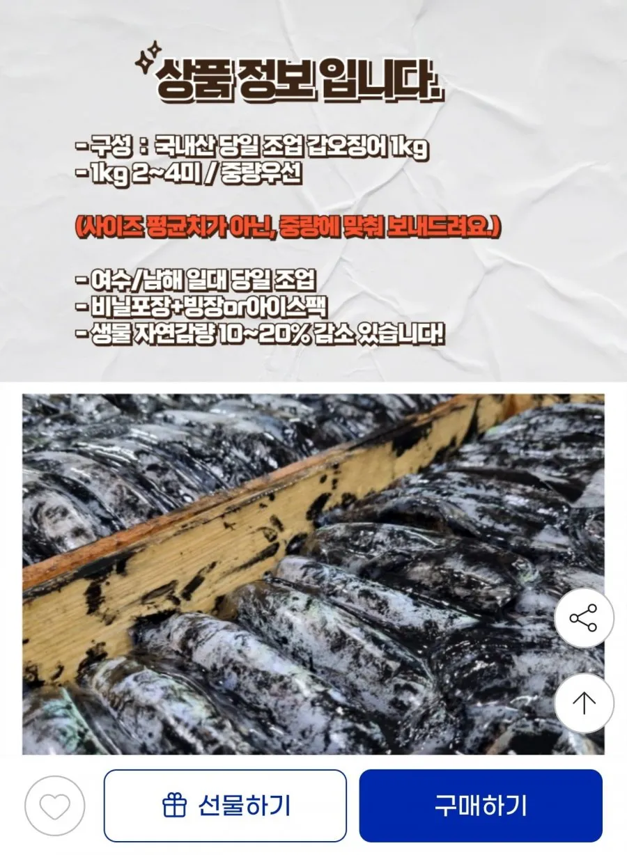 국내산 갑오징어 1kg 단 하루 특가 2~4미