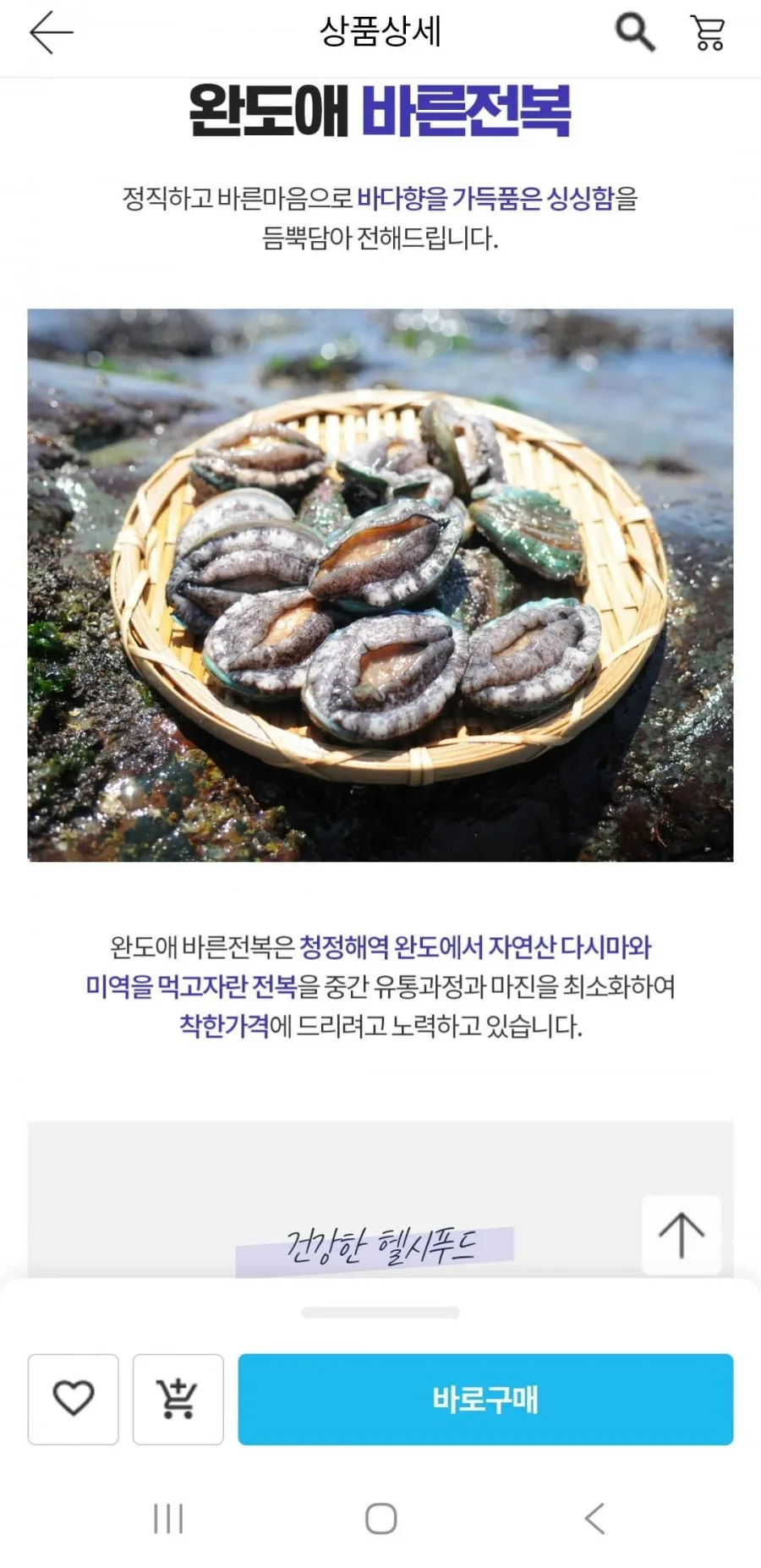 특대 7-9미 1kg +손질솔